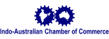 Co-Chair of the Indo Australia Chamber of Commerce (IACC) Health Leadership Forum